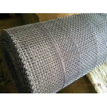 Square Galvanized Wire Mesh, Filter Mesh (tye-01)